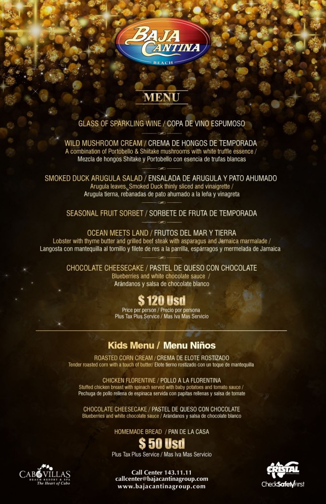 New Year 2013 REVERSO