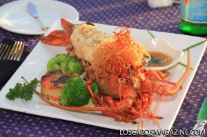 Baja-Lobster-Celebration