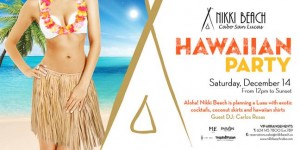 Hawaiian Party