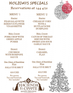 hOLIDAY SPECIAL HC