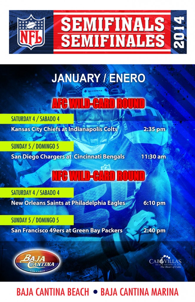 Semifinales NFL 2013 CV