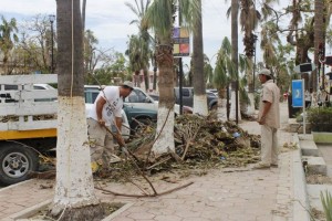 AfterOdile60