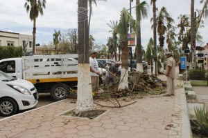 AfterOdile61