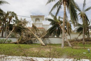 AfterOdile79