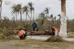 Afterodile38
