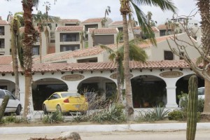Afterodile40