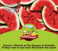 the-shoppes-at-palmilla-11