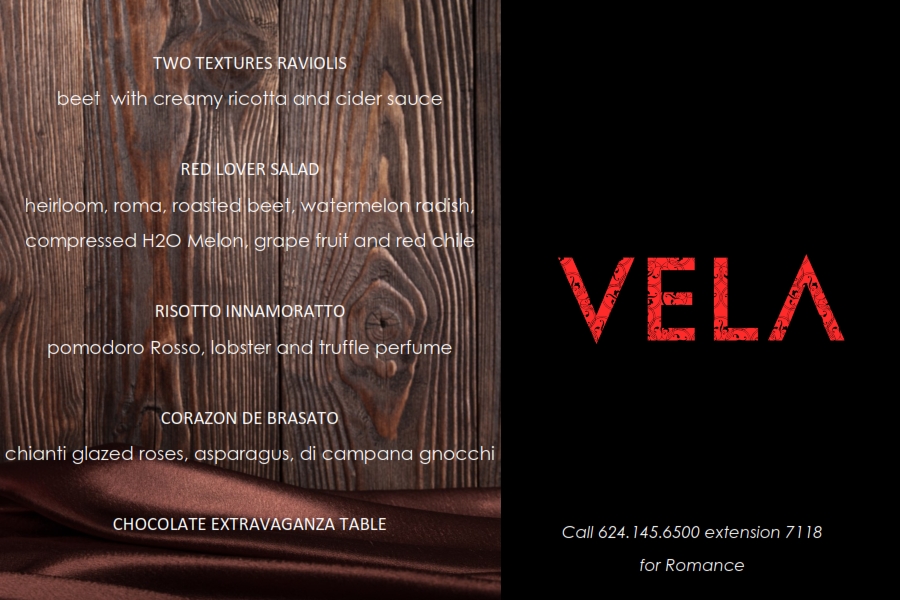 Vantine Flyers_002