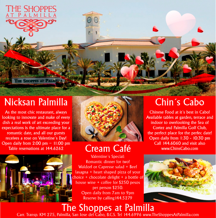palmilla
