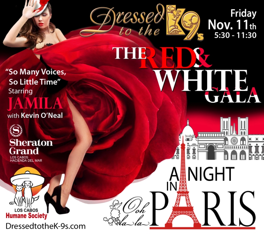 Dressed to the K9's Friday, November 11, 2016 ... “Cabo's Most Glamorous Party”. Dressed to the K9's Friday, November 11, 2016 ... “Cabo's Most Glamorous Party”.