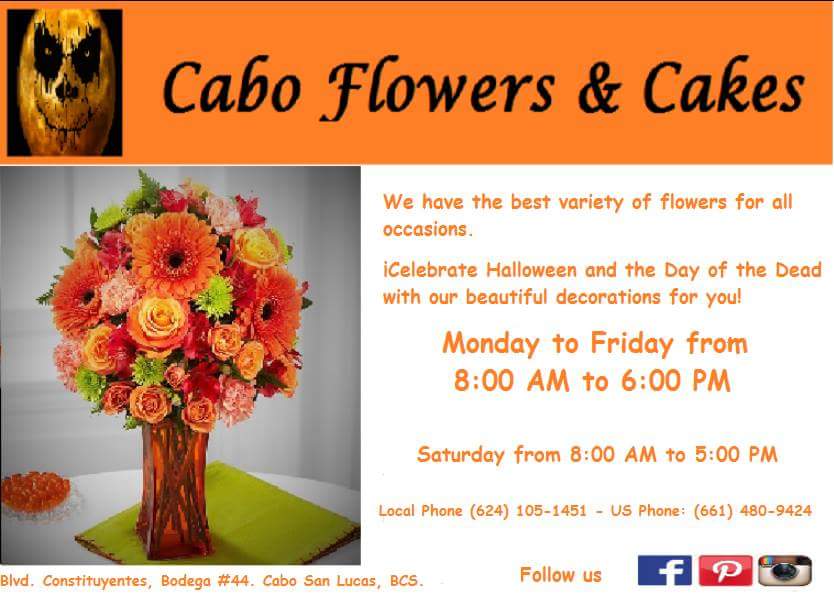 cabo-flowers-and-cakes