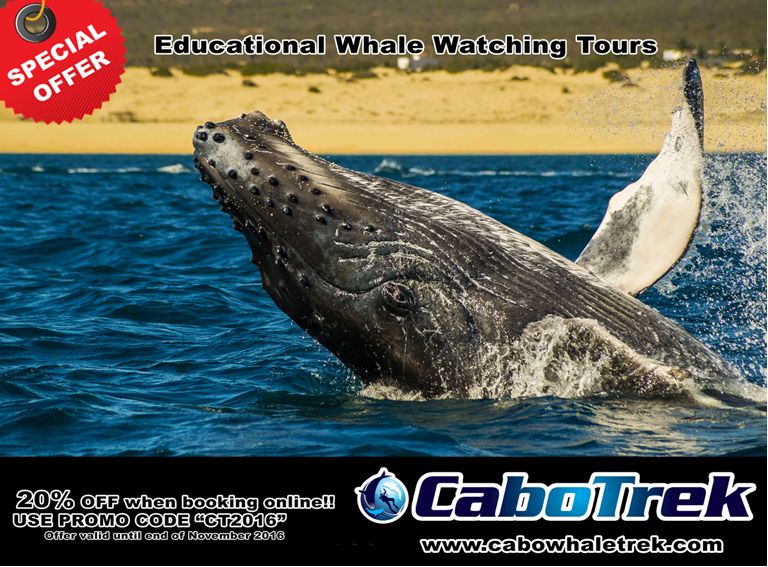 Special Offer Cabo Trek Special Offer Cabo Trek