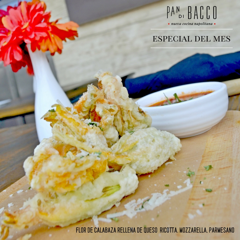 Pan di Bacco Pan di Bacco